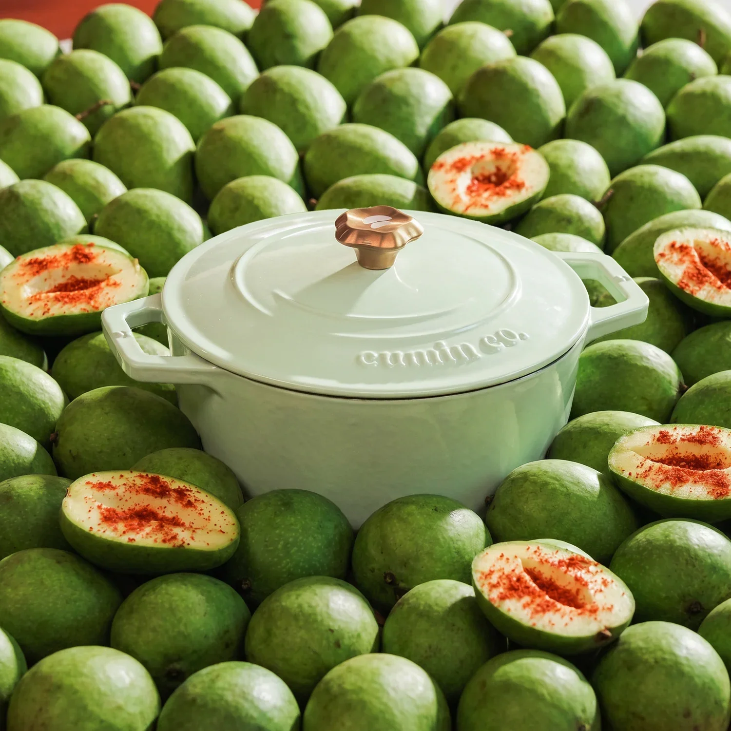 No. 9 Enamel Cast Iron Dutch Oven (4L) - Image 15